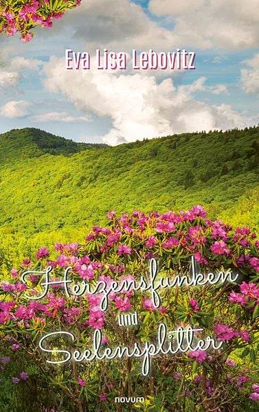 Produktbild: Herzensfunken und Seelensplitter