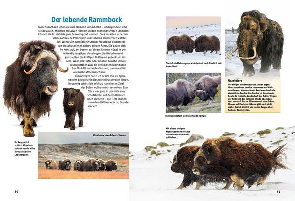 Produktbild: Entdecke Arktis und Antarktis