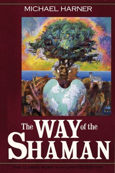 Produktbild: The Way of the Shaman