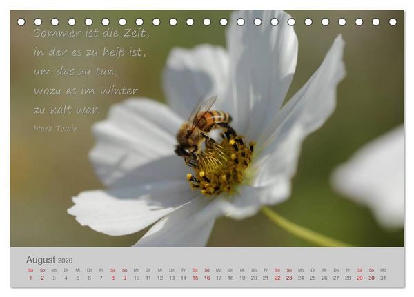 Produktbild: Jahres-Zeiten (Tischkalender 2026 DIN A5 quer), CALVENDO Monatskalender