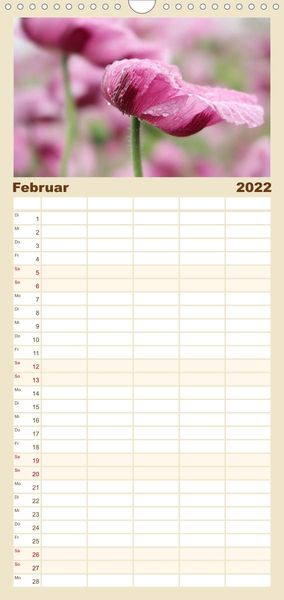 Produktbild: Familienplaner Mohnsch&ouml;nheiten (Wandkalender 2022 , 21 cm x 45 cm, hoch)