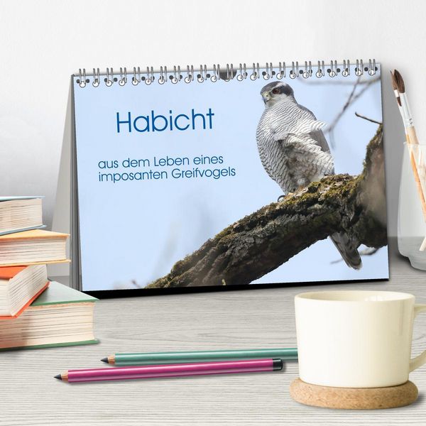 Produktbild: Habicht - aus dem Leben eines imposanten Greifvogels (Tischkalender 2026 DIN A5 quer), CALVENDO Monatskalender