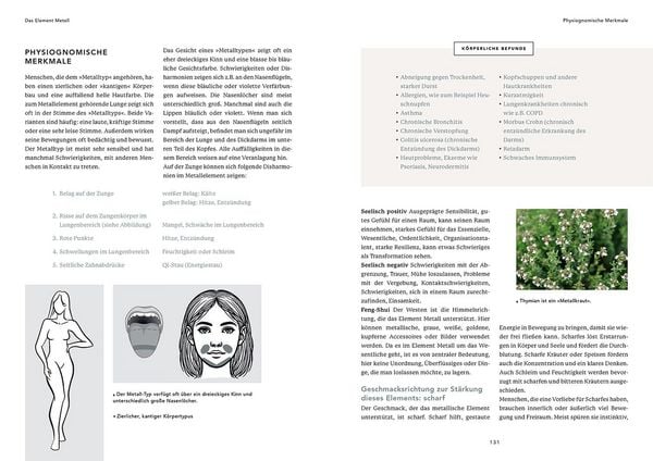 Produktbild: Die 5 Elemente der TCM und die Heilkraft unserer heimischen Kr&auml;uter