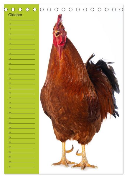 Produktbild: Kunterbunte H&uuml;hner Truppe (Tischkalender 2026 DIN A5 hoch), CALVENDO Monatskalender