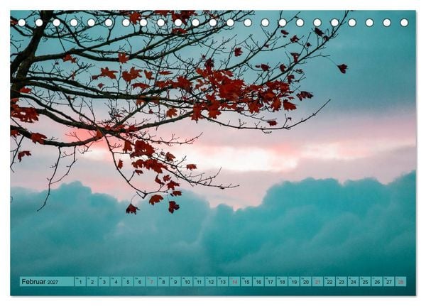 Produktbild: B&auml;ume sind Tr&auml;ume (Tischkalender 2027 DIN A5 quer), CALVENDO Monatskalender