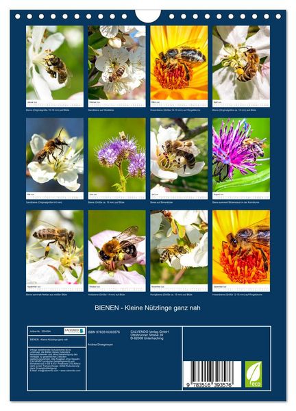 Produktbild: BIENEN - Kleine N&uuml;tzlinge ganz nah (Wandkalender 2026 DIN A4 hoch), CALVENDO Monatskalender