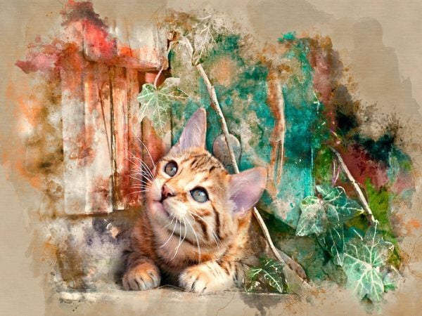 Produktbild: CALVENDO Puzzle Die junge Katze unter&acute;m Zaun | 1000 Teile Lege-Gr&ouml;&szlig;e 64x48cm Foto-Puzzle f&uuml;r gl&uuml;ckliche Stunden