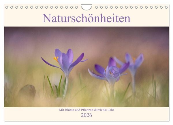 Produktbild: Natursch&ouml;nheiten - mit Bl&uuml;ten und Pflanzen durch das Jahr (Wandkalender 2026 DIN A4 quer), CALVENDO Monatskalender