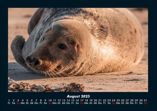Produktbild: Der Tierkalender 2025 Fotokalender DIN A4