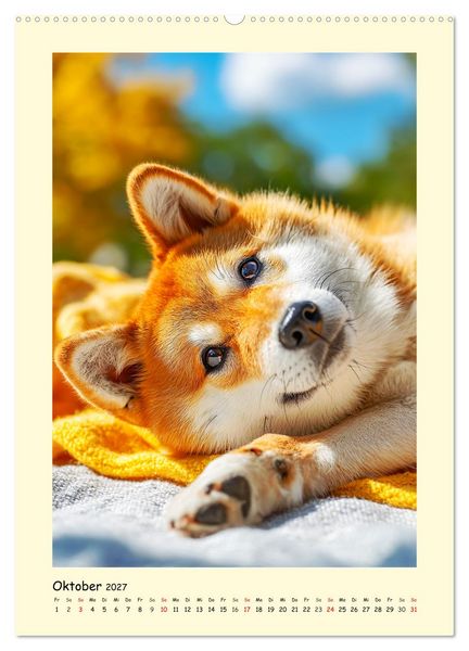 Produktbild: Shiba Inu Momente. Japans elegante Seelenhunde (Wandkalender 2027 DIN A2 hoch), CALVENDO Monatskalender