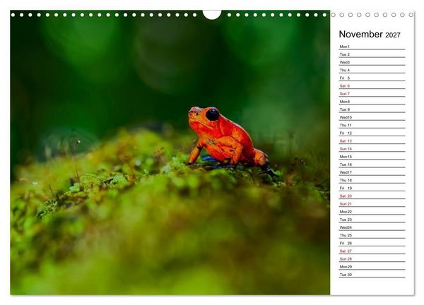 Produktbild: Feel the Wild &ndash; Costa Rica (Wall Calendar 2027 DIN A3 landscape), CALVENDO 12 Month Wall Calendar