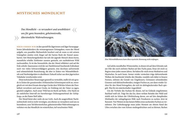 Produktbild: Im Hier und Jetzt