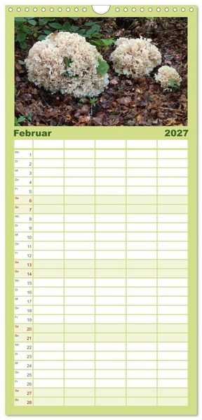 Produktbild: Familienplaner 2027 - Pilze - tolle Funde mit 5 Spalten (Wandkalender, 21 x 45 cm) CALVENDO