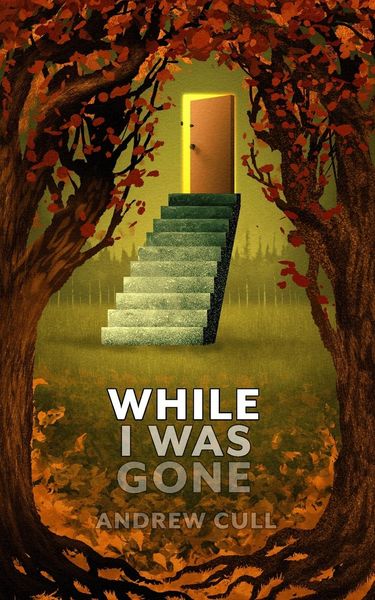 Produktbild: While I Was Gone