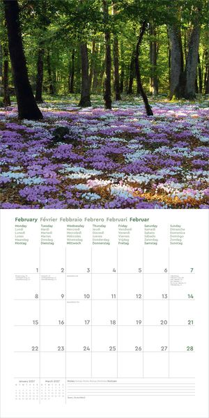 Produktbild: Aufgebl&uuml;ht - KUNTH Broschurkalender 2027