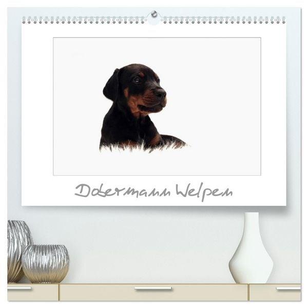 Produktbild: Dobermann Welpen (hochwertiger Premium Wandkalender 2026 DIN A2 quer), Kunstdruck in Hochglanz