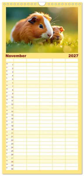 Produktbild: Familienplaner 2027 - S&uuml;&szlig;e Meerschweinchen mit 5 Spalten (Wandkalender, 21 x 45 cm) CALVENDO