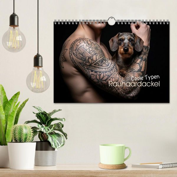 Produktbild: Coole Typen - Rauhaardackel (Wandkalender 2026 DIN A4 quer), CALVENDO Monatskalender