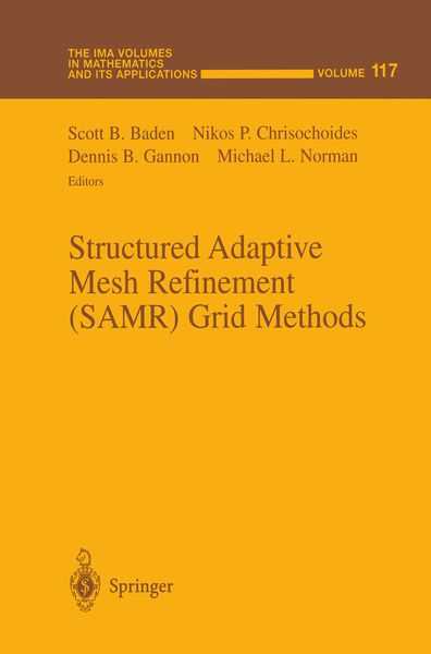 Produktbild: Structured Adaptive Mesh Refinement (SAMR) Grid Methods