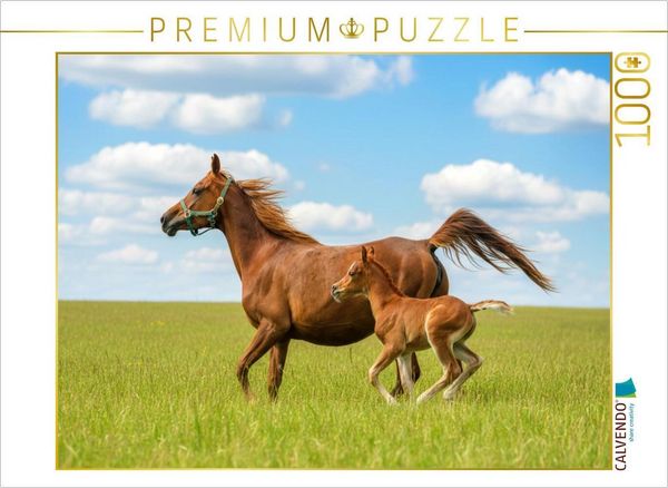 Produktbild: CALVENDO Puzzle Arabische Stute und Fohlen auf der Wiese | 1000 Teile Lege-Gr&ouml;&szlig;e 64x48cm Foto-Puzzle f&uuml;r gl&uuml;ckliche Stunden