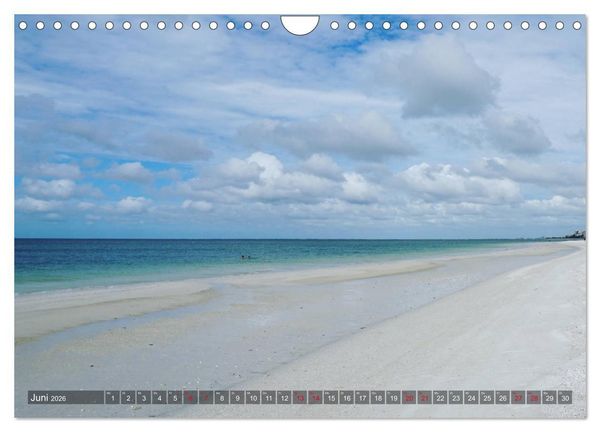 Produktbild: Florida - Sunshine State (Wandkalender 2026 DIN A4 quer), CALVENDO Monatskalender