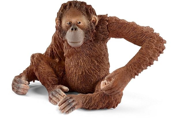 Schleich - 14775 Orang-Utan Weibchen