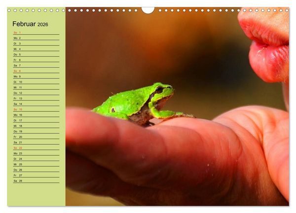 Produktbild: Frosch m&uuml;sste man sein! (Wandkalender 2026 DIN A3 quer), CALVENDO Monatskalender