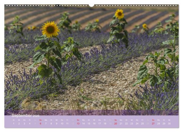 Produktbild: Die Farbe des Lavendels (hochwertiger Premium Wandkalender 2026 DIN A2 quer), Kunstdruck in Hochglanz