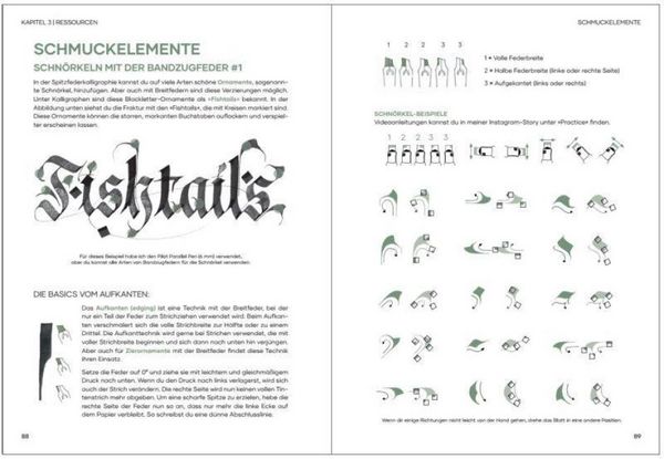 Produktbild: Praxisbuch Kalligraphie Alphabete