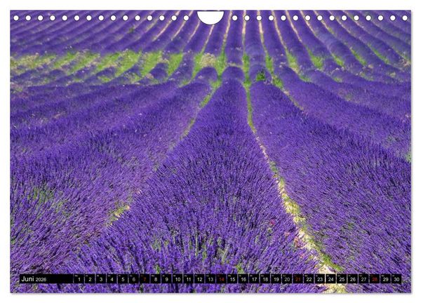 Produktbild: Provence (Wandkalender 2026 DIN A4 quer), CALVENDO Monatskalender