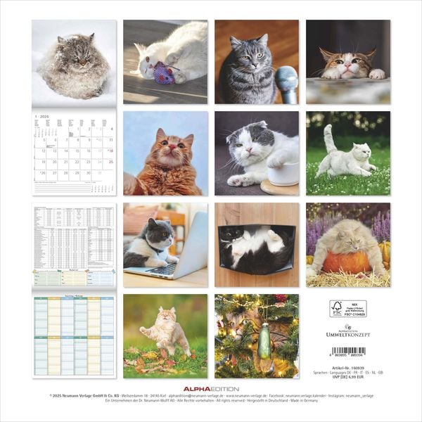 Produktbild: Funny Cats 2026 - Broschürenkalender 30x30 cm (30x60 geöffnet) - Kalender mit Platz für Notizen - Katzen - Bildkalender - Wandplaner - Katzenkalender