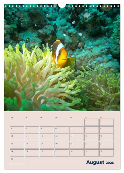 Produktbild: Mahe - Inselparadies der Seychellen (Wandkalender 2026 DIN A3 hoch), CALVENDO Monatskalender