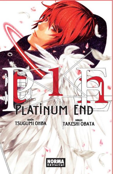 Produktbild: Platinum end 1