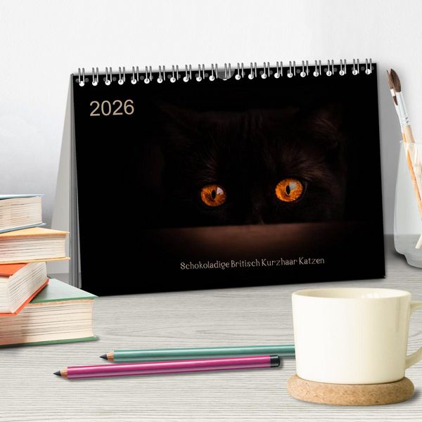 Produktbild: Schokoladige Britisch Kurzhaar Katzen (Tischkalender 2026 DIN A5 quer), CALVENDO Monatskalender