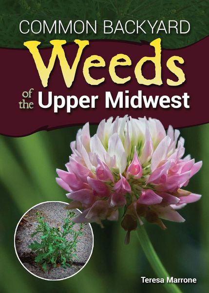 Produktbild: Common Backyard Weeds of the Upper Midwest