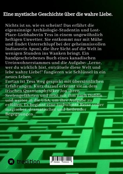 Produktbild: Das Labyrinth aus Sternenstaub und Tr&auml;umen