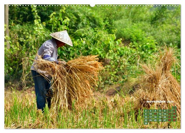 Produktbild: Riz de Chine (Calendrier mural 2026 DIN A2 vertical), CALVENDO calendrier mensuel