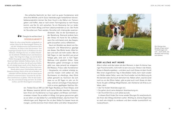 Produktbild: Entspannter Mensch - entspannter Hund...