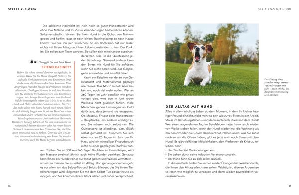 Produktbild: Entspannter Mensch - entspannter Hund...