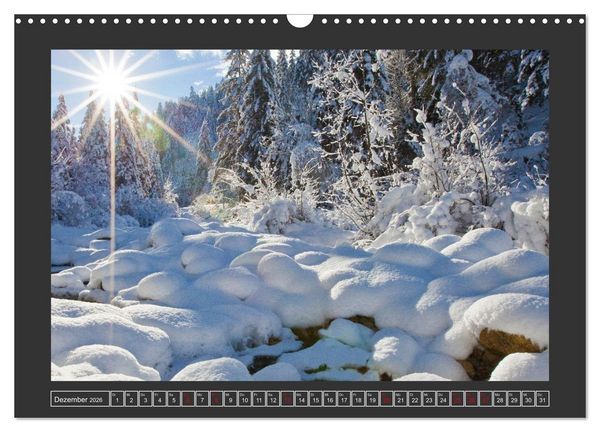 Produktbild: Gr&uuml;&szlig;e aus Wald (Wandkalender 2026 DIN A3 quer), CALVENDO Monatskalender