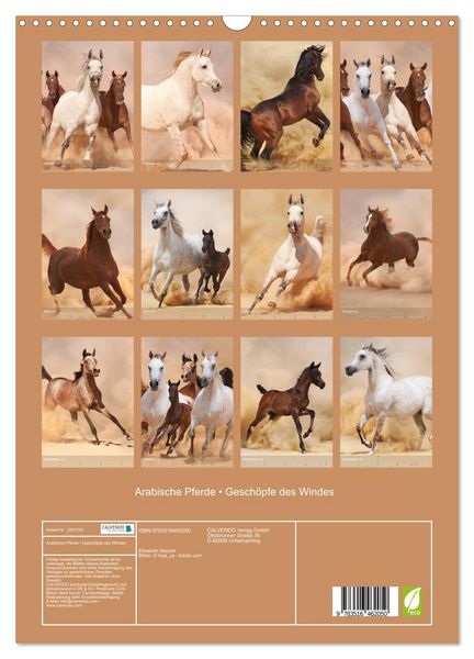 Produktbild: Arabische Pferde &bull; Gesch&ouml;pfe des Windes (Wandkalender 2026 DIN A3 hoch), CALVENDO Monatskalender