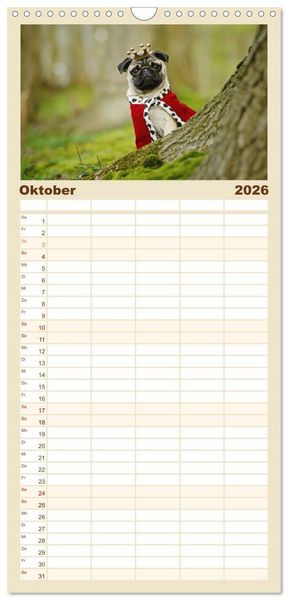 Produktbild: Familienplaner 2026 - Lustige M&ouml;pse aus der Hundeknipserei mit 5 Spalten (Wandkalender, 21 x 45 cm) CALVENDO