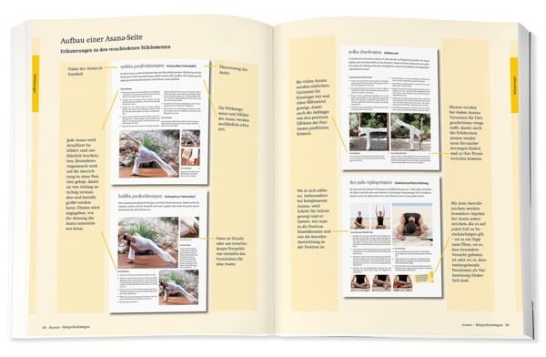 Produktbild: Yoga - Das gro&szlig;e Praxisbuch f&uuml;r Einsteiger & Fortgeschrittene