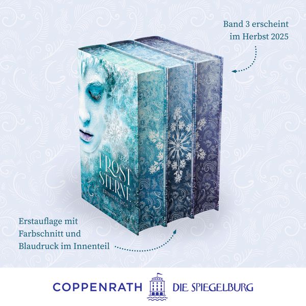 Produktbild: Froststerne (Bd.2/Romantasy-Trilogie) - Durch Traum und Eis