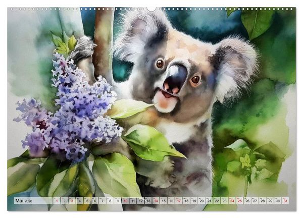Produktbild: Koalas, liebenswerte kleine Schlafm&uuml;tzen (hochwertiger Premium Wandkalender 2026 DIN A2 quer), Kunstdruck in Hochglanz