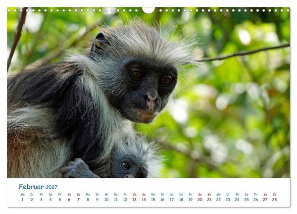 Produktbild: Traumziele weltweit &ndash; Inselleben auf Sansibar (Wandkalender 2027 DIN A3 quer), CALVENDO Monatskalender