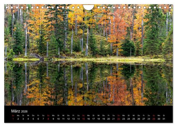 Produktbild: Herbst im Nationalpark Bayerischer Wald (Wandkalender 2026 DIN A4 quer), CALVENDO Monatskalender
