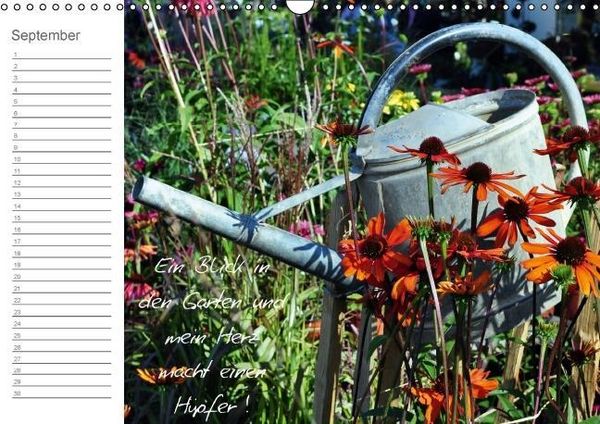 Produktbild: Befl&uuml;gelt (Wandkalender immerw&auml;hrend DIN A3 quer)
