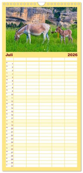 Produktbild: Familienplaner 2026 - Liebenswerte Esel mit 5 Spalten (Wandkalender, 21 x 45 cm) CALVENDO
