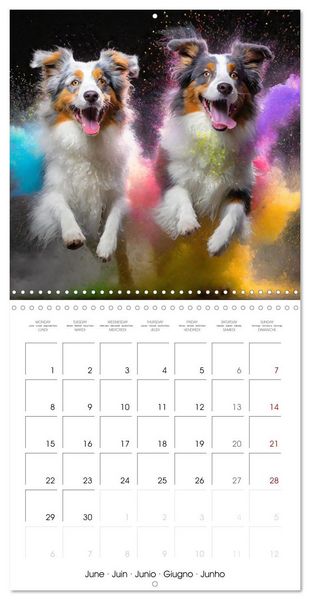 Produktbild: Dynamic Duo - Two Paws, One Leap (Wall Calendar 2026 12 &times; 12 Inch) CALVENDO 12 Month Wall Calendar